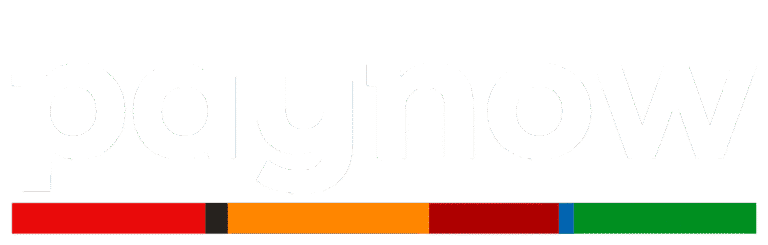 paynow - płatności online